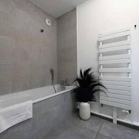 Basel Terraces With Balcony And Free Private Parking *