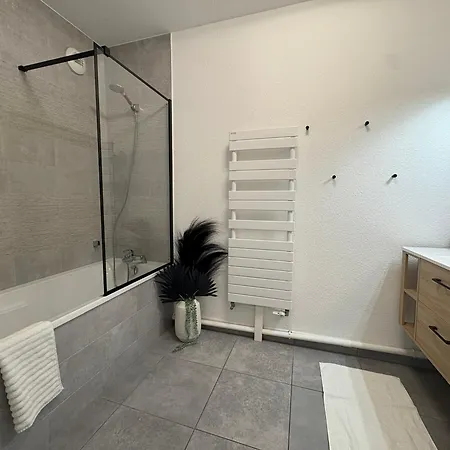 Bright 5 Min From Basel With Balcony & Free Private Parking Lägenhet