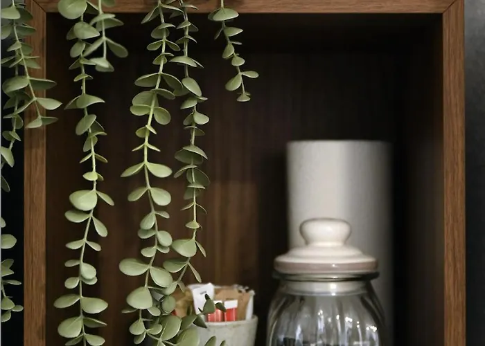 Basel Terraces With Balcony And Free Private Parking