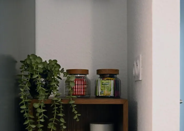 Basel Terraces With Balcony And Free Private Parking Apartment *