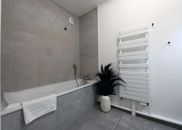 Basel Terraces With Balcony And Free Private Parking *