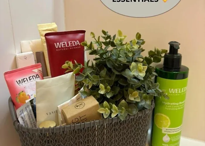 Apartment Basel Terraces With Balcony And Free Private Parking