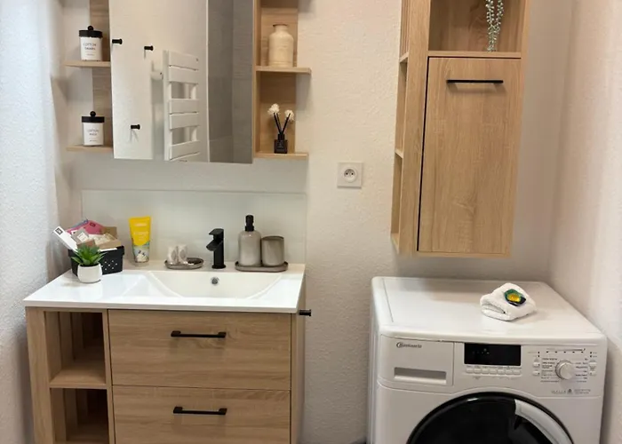 Basel Terraces With Balcony And Free Private Parking Apartment *