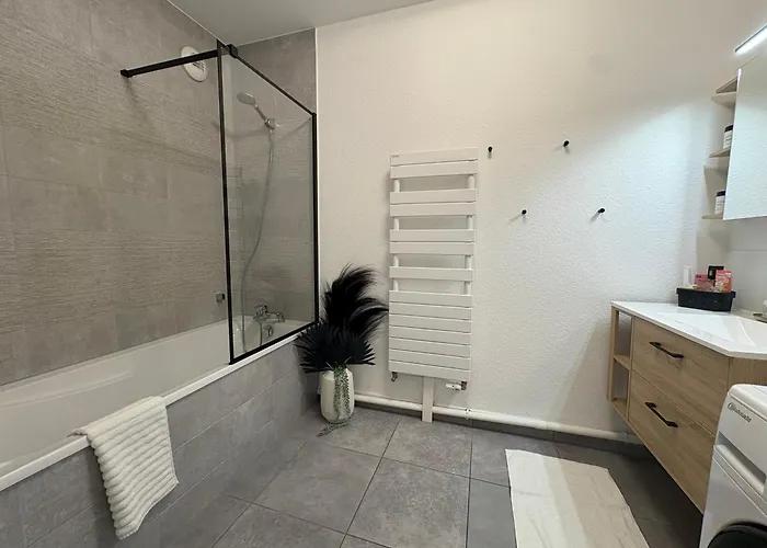 Bright 5 Min From Basel With Balcony & Free Private Parking Lägenhet